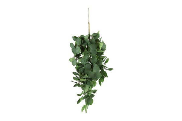 Eucalyptus steel 60 cm groen