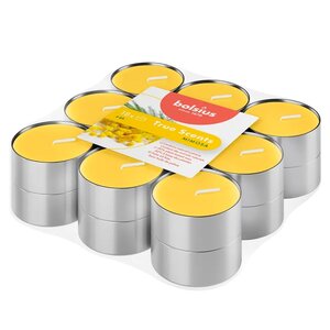 Bolsius geurtheelicht true scents mimosa 18 stuks