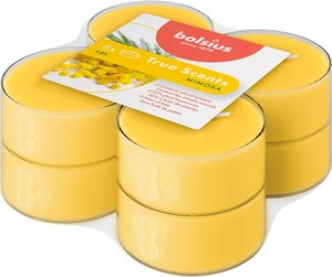 Bolsius maxilicht true scents mimosa 8 stuks