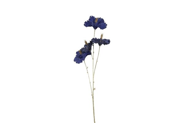 Hibiscus steel 81 cm blauw - goud