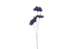 Hibiscus steel 81 cm blauw - goud