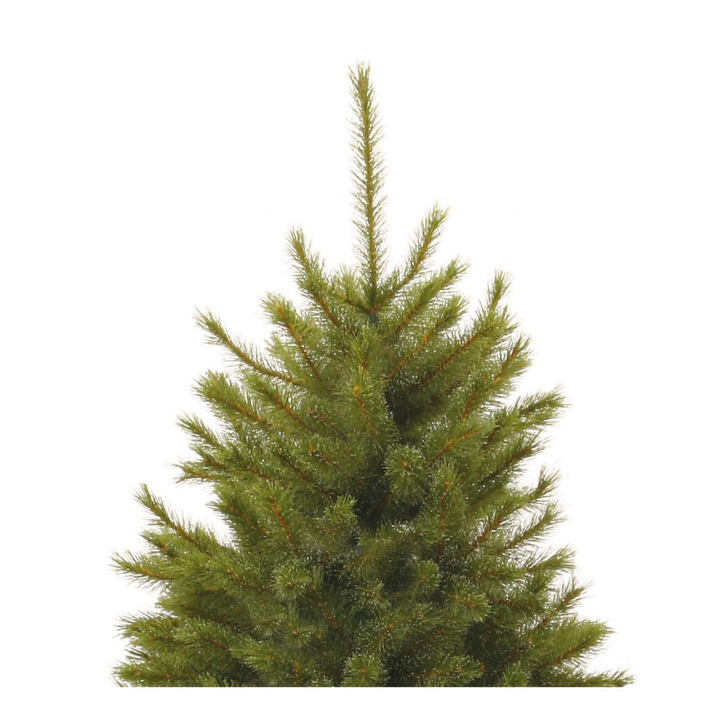 nood Blijkbaar bekken Kunstkerstboom Forest frosted pine 155cm online kopen? -  Koopkerstverlichting.nl