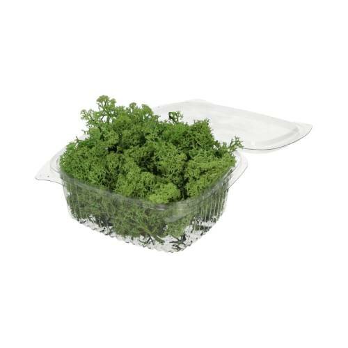 Rendiermos 50 gram groen